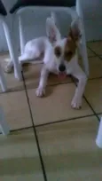 bruce