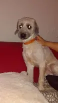 JOAQUIM