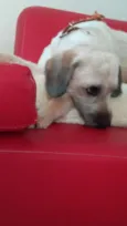 JOAQUIM