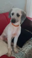 JOAQUIM