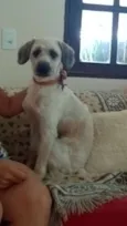 JOAQUIM