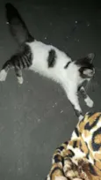 Não cheguei a apelid