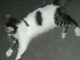 Não cheguei a apelid