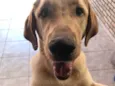 Marley 