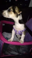 Elsa