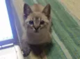 Tina