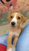 Kiki