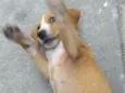 Kiki
