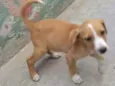 Kiki