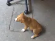 Kiki