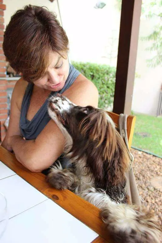 Cachorro ra a SRD idade 4 anos nome Pandora