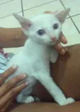Não tem nome