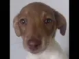 Kinki