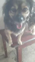 Billy