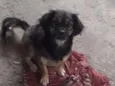 Billy