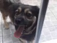 Billy
