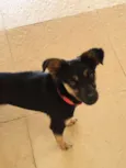Teo