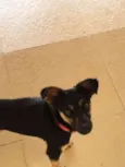 Teo