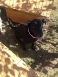 Bebê