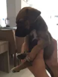 Romeu e Julieta