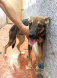 Sultão