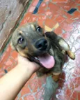 Billy