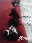 não tem nome