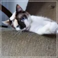 Frida e Margô