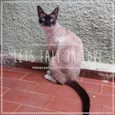 Frida e Margô