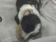Kloe