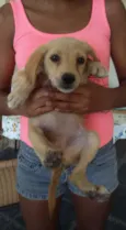 DOCINHOS DE COCO
