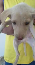 DOCINHOS DE COCO