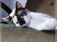 Frida e Margô