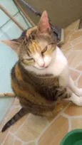 Marieta
