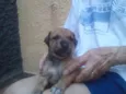 Sem nome
