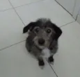 Lindinha