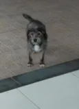 Lindinha