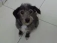 Lindinha