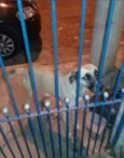 Pac