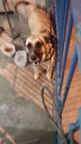 Pac