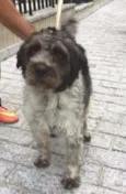 BOB