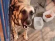 Pac