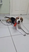 Não sei