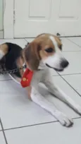 Não sei