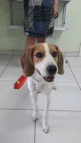 Não sei