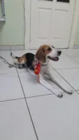Não sei