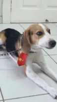 Não sei