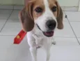 Não sei