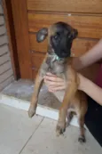 Tomas