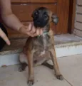 Tomas